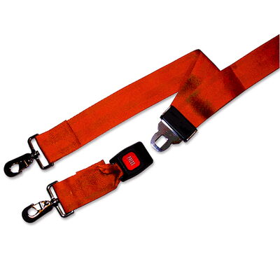 Pro-Lite Speed Clip Straps